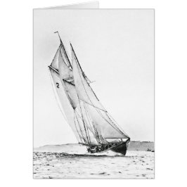 Bluenoseはラインを交差させます