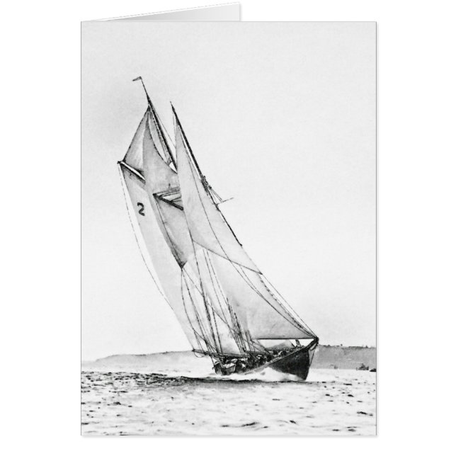 Bluenoseはラインを交差させます (正面)