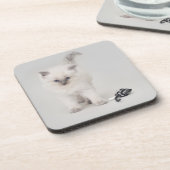 BluepointのRagdollの子ネコのコースター コースター (左側)