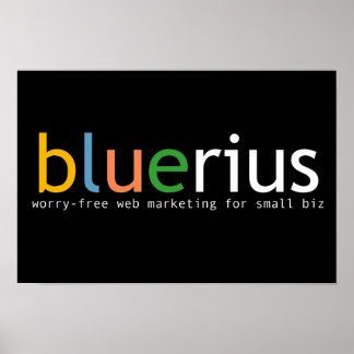 bluerius.comバナー ポスター