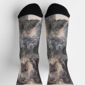 Bluestick Conhound 絵画's – かわいいオリジナルドッグAr ソックス (上部)