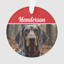 Bluestick Conhound Nameフォトホリデークリスマス オーナメント