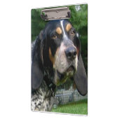 Bluestick Conhound.png クリップボード (左)