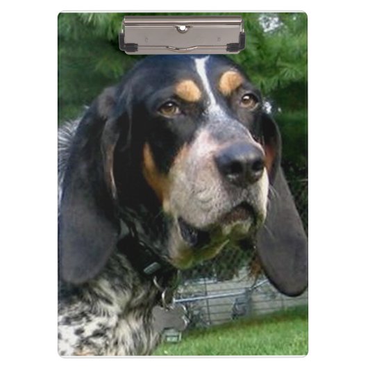 Bluestick Conhound.png クリップボード (正面)