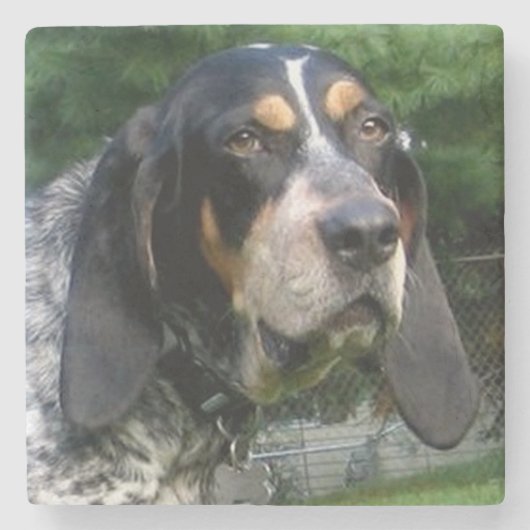 Bluestick Conhound.png ストーンコースター (正面)