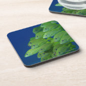 bluestripedフランス語およびmargateのうなり声の学校 コースター (左側)