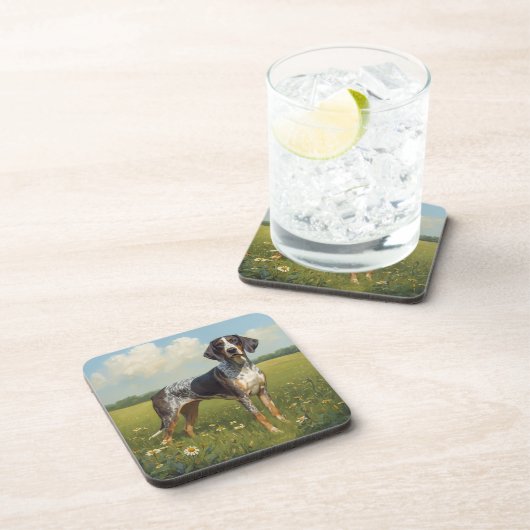 Bluetick Coonhound コースター (右側)