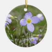 Bluets -クエーカー教徒の女性 セラミックオーナメント (正面)