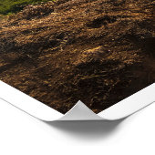 Bluff Cove Light ポスター (角)