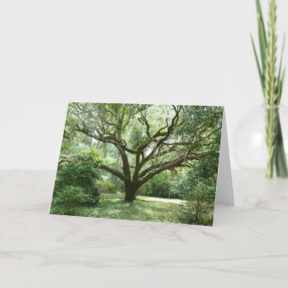 Blufftonの夏の午後 カード