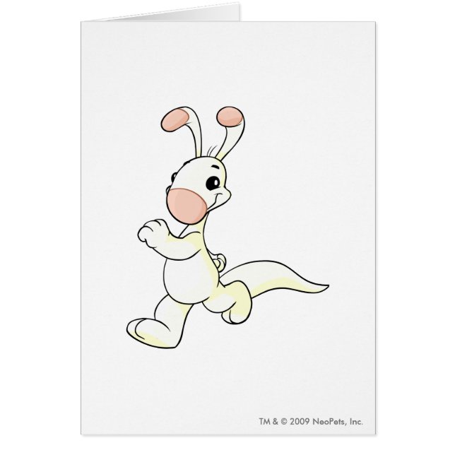 Blumarooの白 (正面)