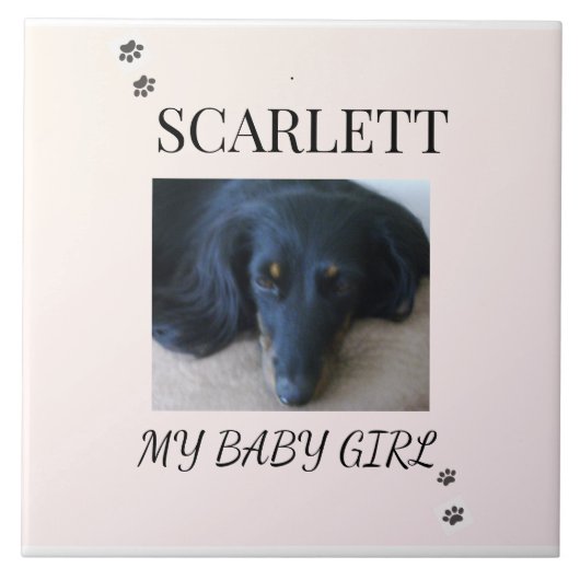 Blush Minimal Pet 1 Photo with Paw Prints タイル (正面)