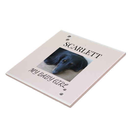 Blush Minimal Pet 1 Photo with Paw Prints タイル (側面)