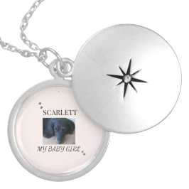Blush Minimal Pet Photo with Paw Prints シルバープレートネックレス