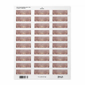 Blush Pink Celestial Moon Phase Return Address ラベル (フルシート)