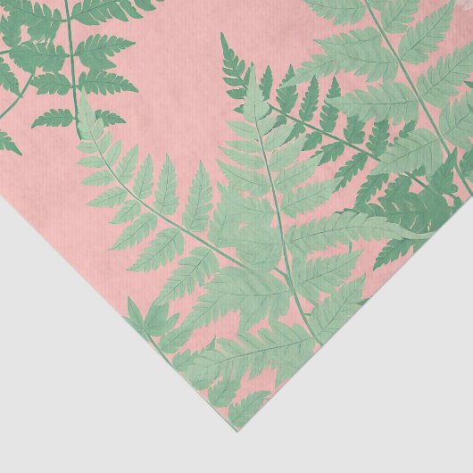 Blush Pink Fern Leaf Botanical Sage Green Modern  薄葉紙 (詳細)