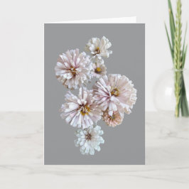 Blush Zinnia Folded Greeting Card カード