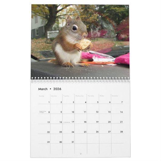 Bluster the Red Squirrel 2026 Calendar カレンダー (3月 2026)
