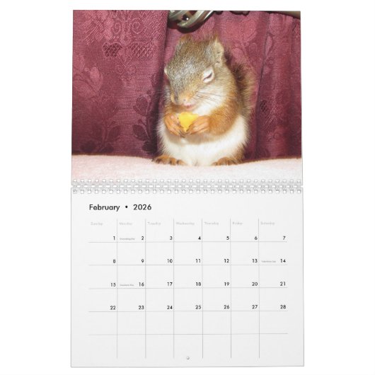 Bluster the Red Squirrel 2026 Calendar カレンダー (2月 2026)