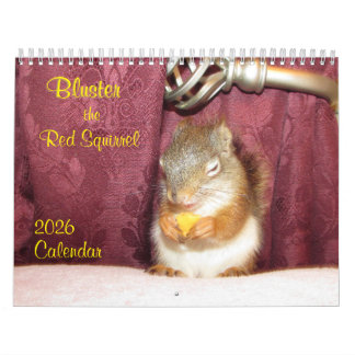 Bluster the Red Squirrel 2026 Calendar カレンダー