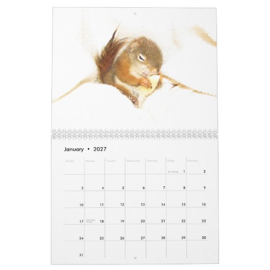 Bluster the Red Squirrel 2026 Calendar カレンダー (1月 2027)