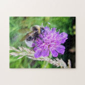Blütenglück – Naturpuzzle mit Hummel auf Skabiose ジグソーパズル (横)