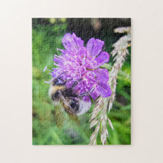 Blütenglück – Naturpuzzle mit Hummel auf Skabiose ジグソーパズル
