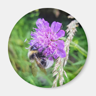 Blütenkraft – Runder Magnet mit Hummelmotiv マグネット