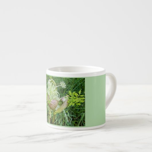 Blütenschlückchen – Engelwurz エスプレッソカップ (正面右)