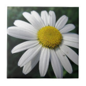 Blütenzentrum weisse Margerite タイル (正面)