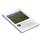 Blythはノートを浸し、 ノートブック (右側)