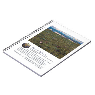 Blythはノートを浸し、 ノートブック