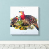 Blyth's Tragopan (ホオジロキジ)J.Gould キャンバスプリント (インサイチュ (ウッドフロア))