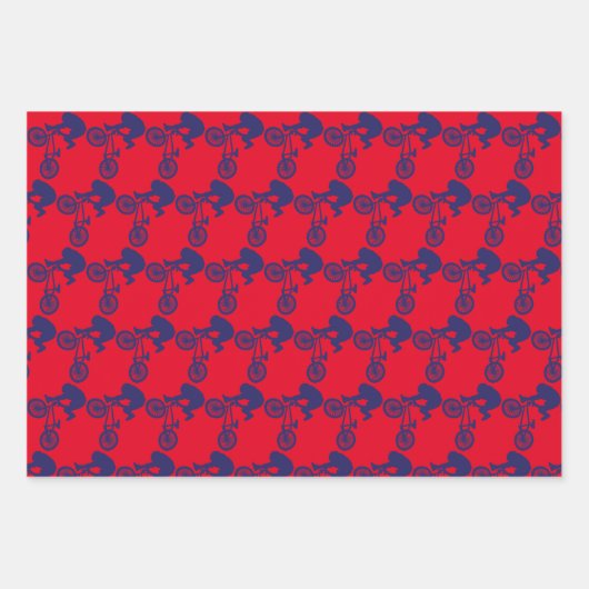 BMXバイクライダー ラッピングペーパーシート (正面)