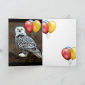 BMX シーズンカード (内部)