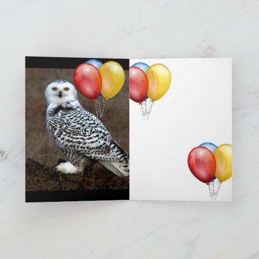 BMX シーズンカード (内部)