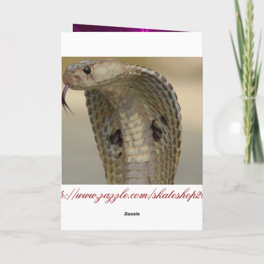 BMX シーズンカード (裏面)