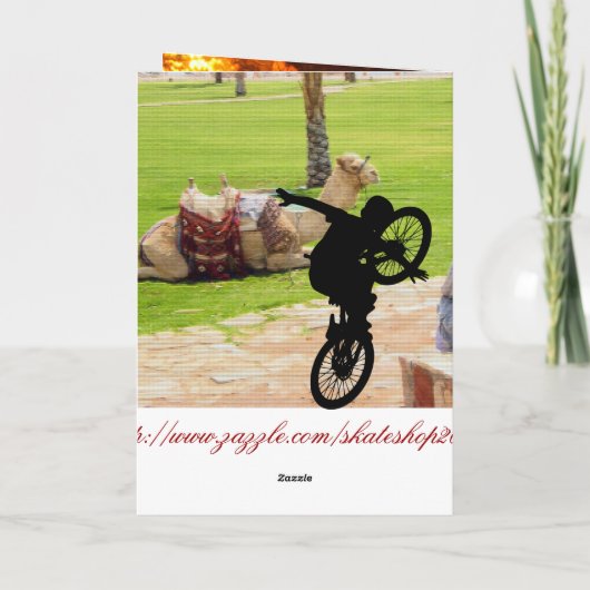 BMX シーズンカード (裏面)