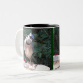 BN.のマネシツグミおよびアオカケスのマグ ツートーンマグカップ (正面左)