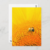 BNo2:蜂の気の数2 ポストカード (正面/裏面)