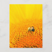 BNo2：蜂の気の数2 ポストカード (正面)