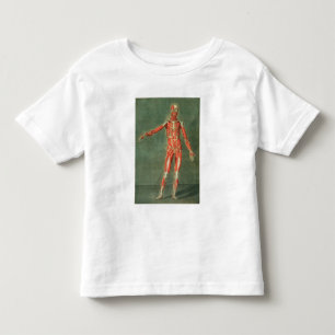 Boの前部の表面的な筋肉システム トドラーTシャツ