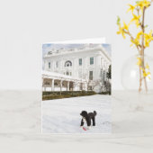 Boオバマのメッセージカード-バラ園 カード (黄色い花)