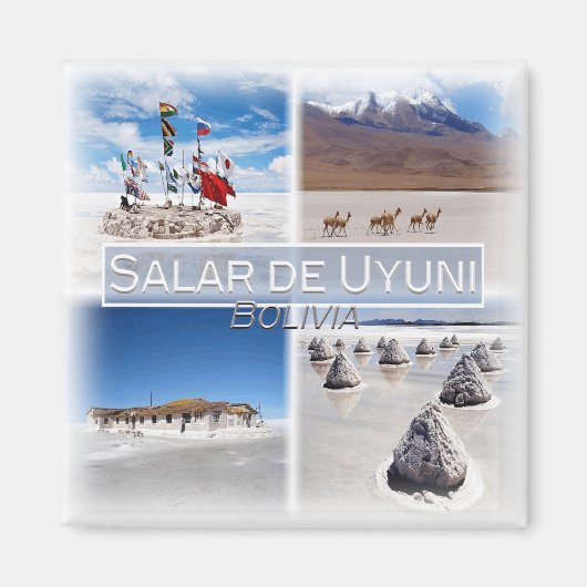 BO0023アメリカ，南米，ボリビア，冷蔵庫 マグネット (正面)