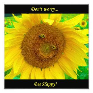 BO1050 12x12 フォトプリント