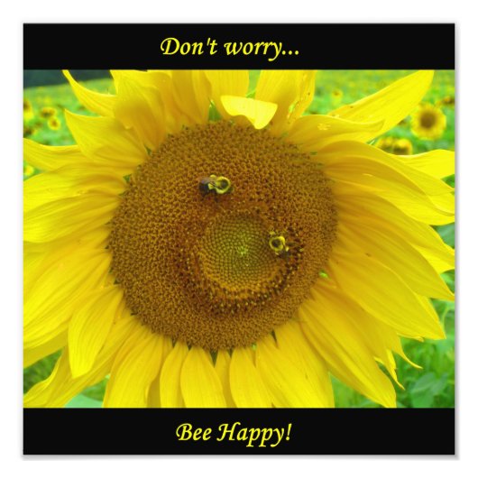 BO1050 12x12 フォトプリント (正面)