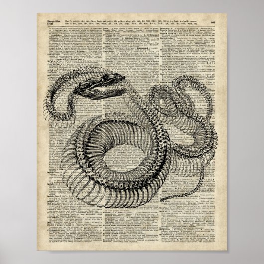 Boa Snake Skeleton Vintage Dictionary Page Art ポスター (正面)