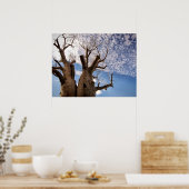 BOABツリーポスター ポスター (キッチン)