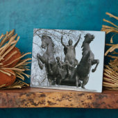 Boadicea, 1850s (ブロンズ)(33580参照) フォトプラーク (側面)