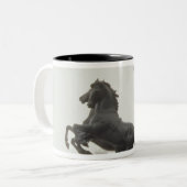 Boadicea 1902年 ツートーンマグカップ (正面左)